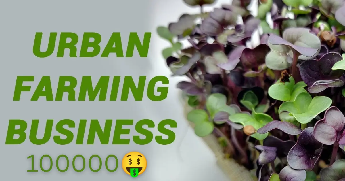 URBAN micro farming